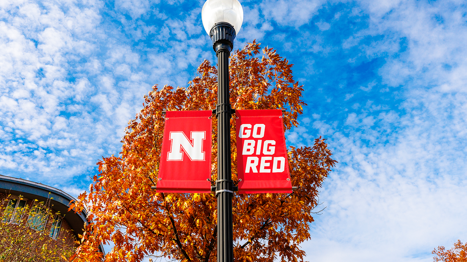 Go Big Red Flag hanging in front of trees on campus in autumn