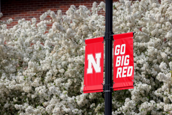 Two red, vertical rectangular banners on a black lightpole read "N" and "Go Big Red" in front of a white, flowering hedge