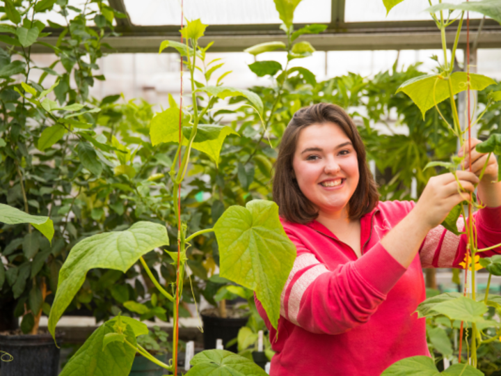 Smiling student in greenhouse tends to plants