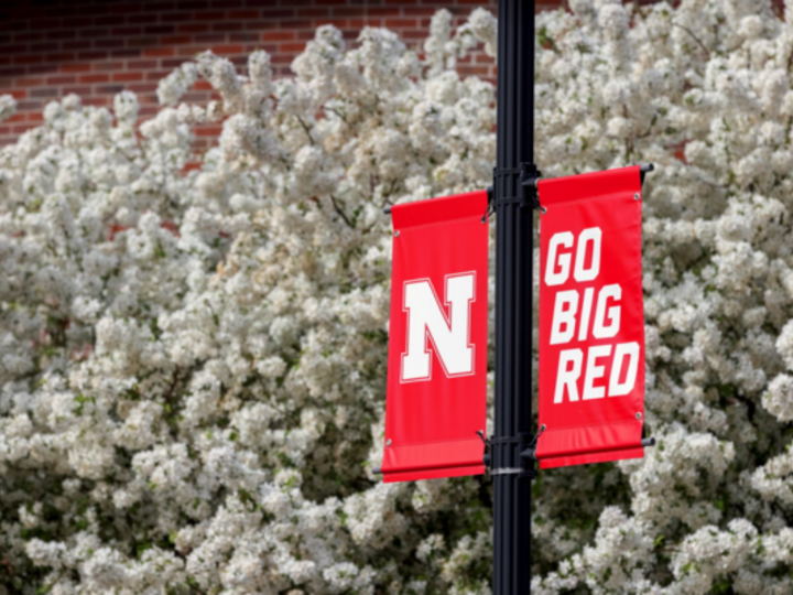 Two red, vertical rectangular banners on a black lightpole read "N" and "Go Big Red" in front of a white, flowering hedge