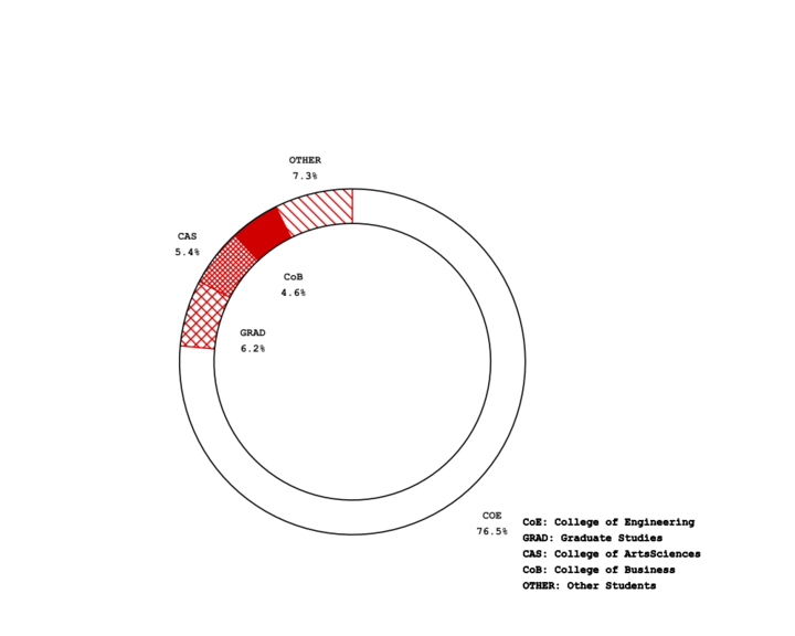 College of Engineering: 76.47 percent Graduate Studies: 6.22 percent College of Arts Sciences: 5.38 percent College of Business: 4.62 percent Other: 7.31 percent